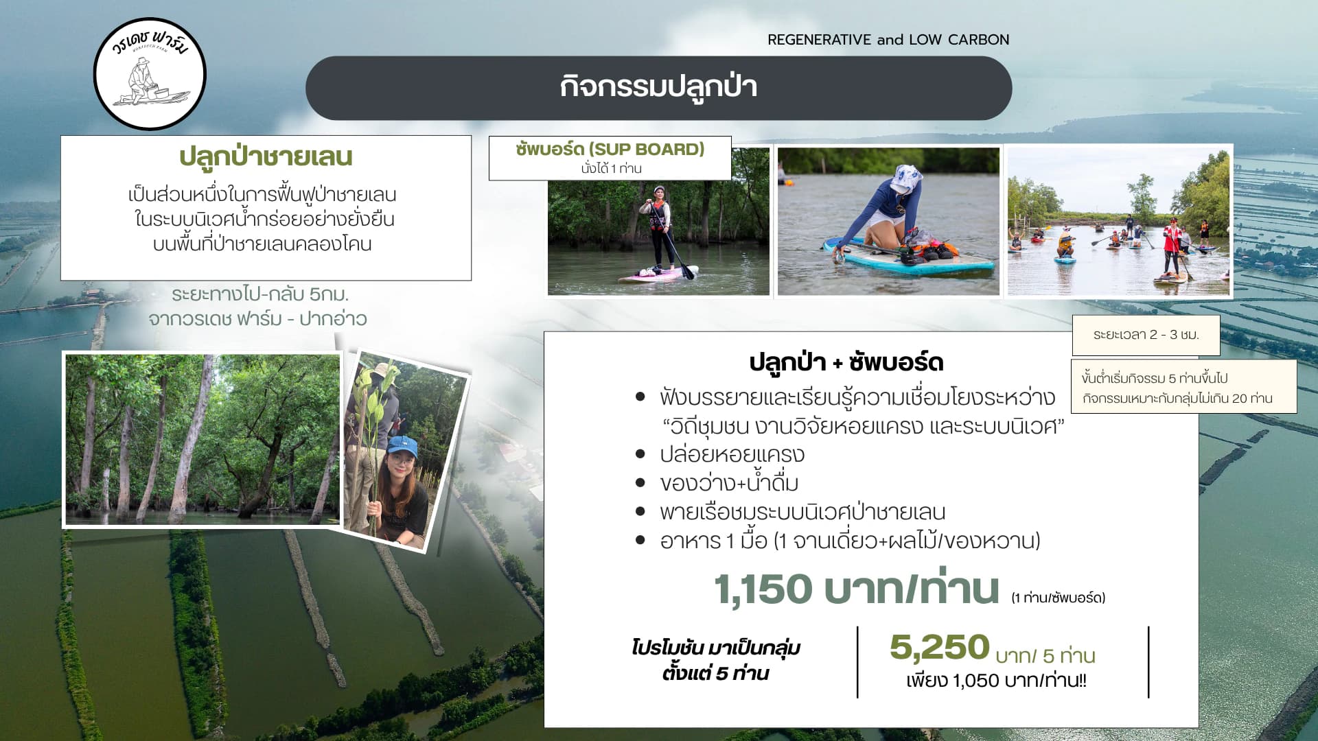 ภาพรายละเอียดแพ็กเกจปลูกป่าชายเลนพร้อมซัพบอร์ด
