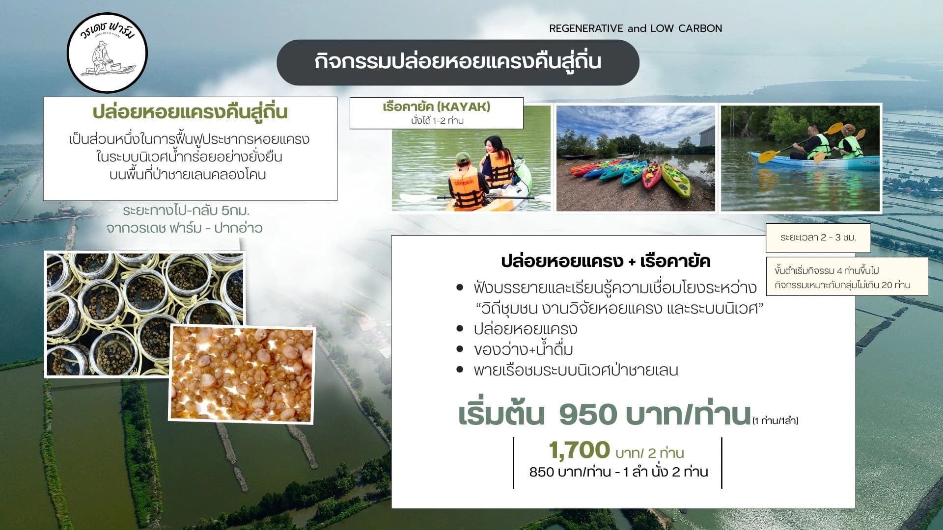 ภาพสรุปกิจกรรมปล่อยหอยแครงและพายเรือคายัค